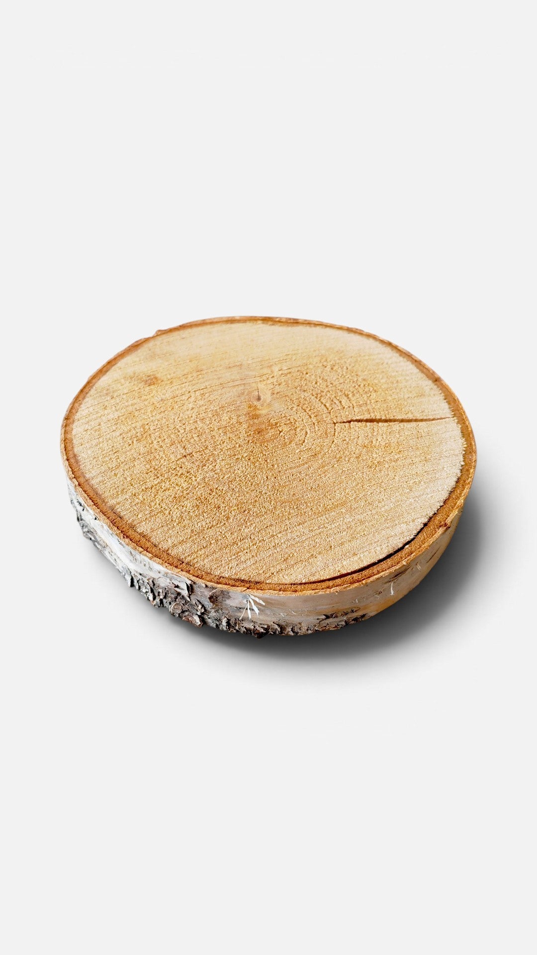 Koivukiekko tarjoiluun (10kpl)